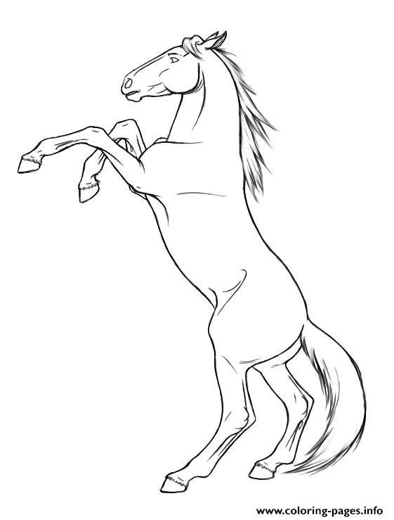 561x739 Rearing Horse Coloring Pages Rearing Horse S8dcc Coloring Pages