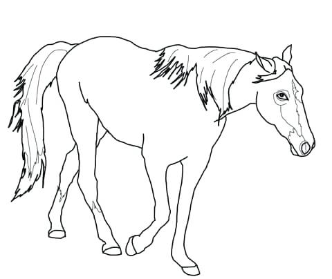 480x404 Horse Coloring Pages Horse Face Coloring Page New Unique Horse