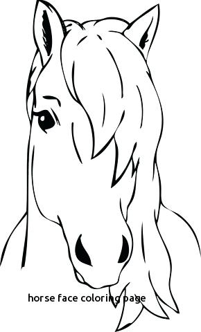 290x480 Horse Head Coloring Pages Horse Face Coloring Page With Horse Head