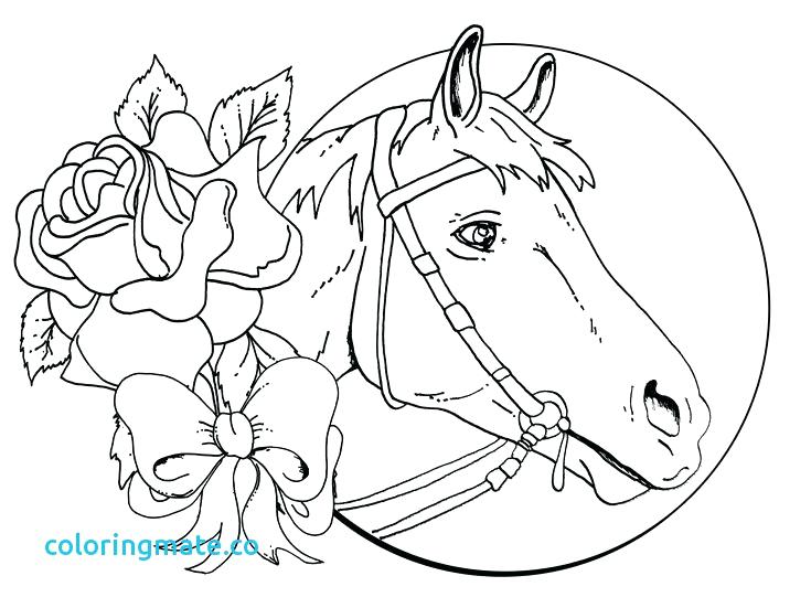 735x551 Horse Coloring