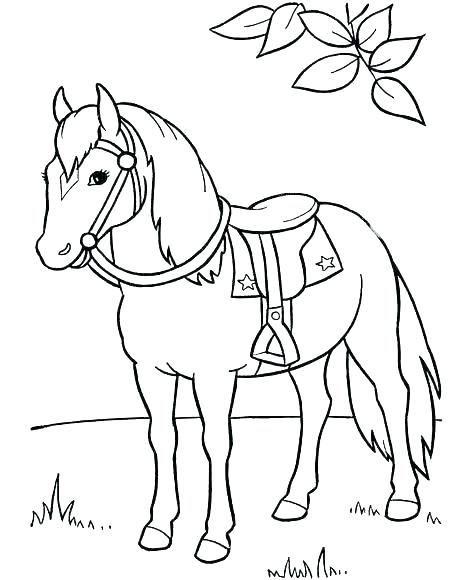 474x580 Horse Face Coloring Page Impair.co