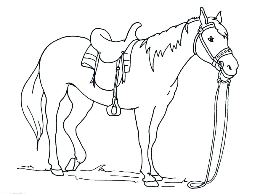 878x659 Coloring Page Of A Horse Vector Horse Coloring Page With Horse