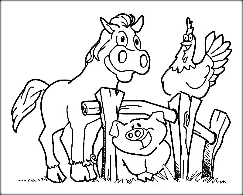 800x642 Coloring Pages Farm Animals Cute Horse Stock Vector Coloring Pages
