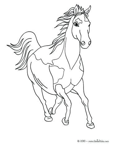 364x470 Cute Horse Coloring Pages Horse Coloring Page Cute And Amazing