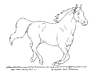 Horse Galloping Coloring Pages at GetColorings.com | Free printable ...