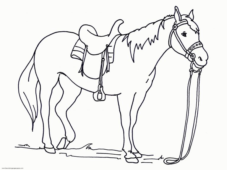 768x576 Coloring Pages Of Real Horses New Free Copy Printable Realistic