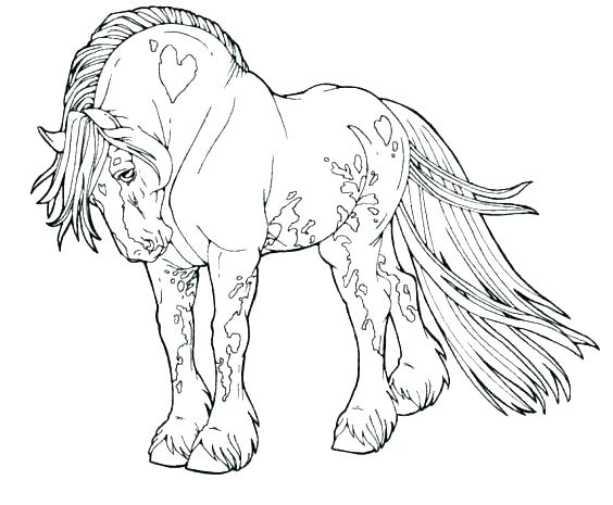 Horse Color Page As Well As Horse Color Page Horse Head Coloring 564x465 Horse Color Page As Well As Horse Color Page Horse Head Coloring