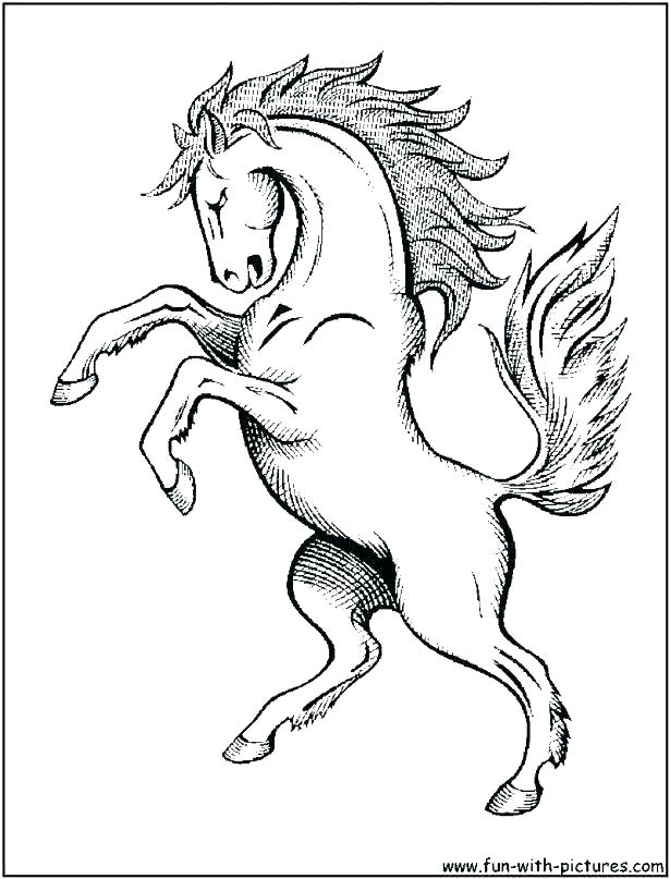 Printable Horse Head Coloring Pages Page Color Printab 615x807 Printable Horse Head Coloring Pages Page Color Printab