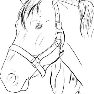 Horse Head Coloring Pages at GetColorings.com | Free printable ...