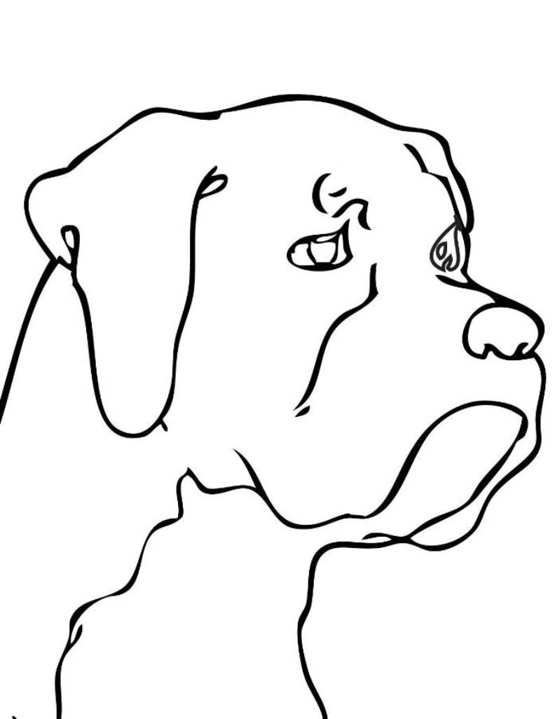 Dog Head Coloring Pages Animal Of Pagestocoloring Arresting Horse 792x1026 Dog Head Coloring Pages Animal Of Pagestocoloring Arresting Horse