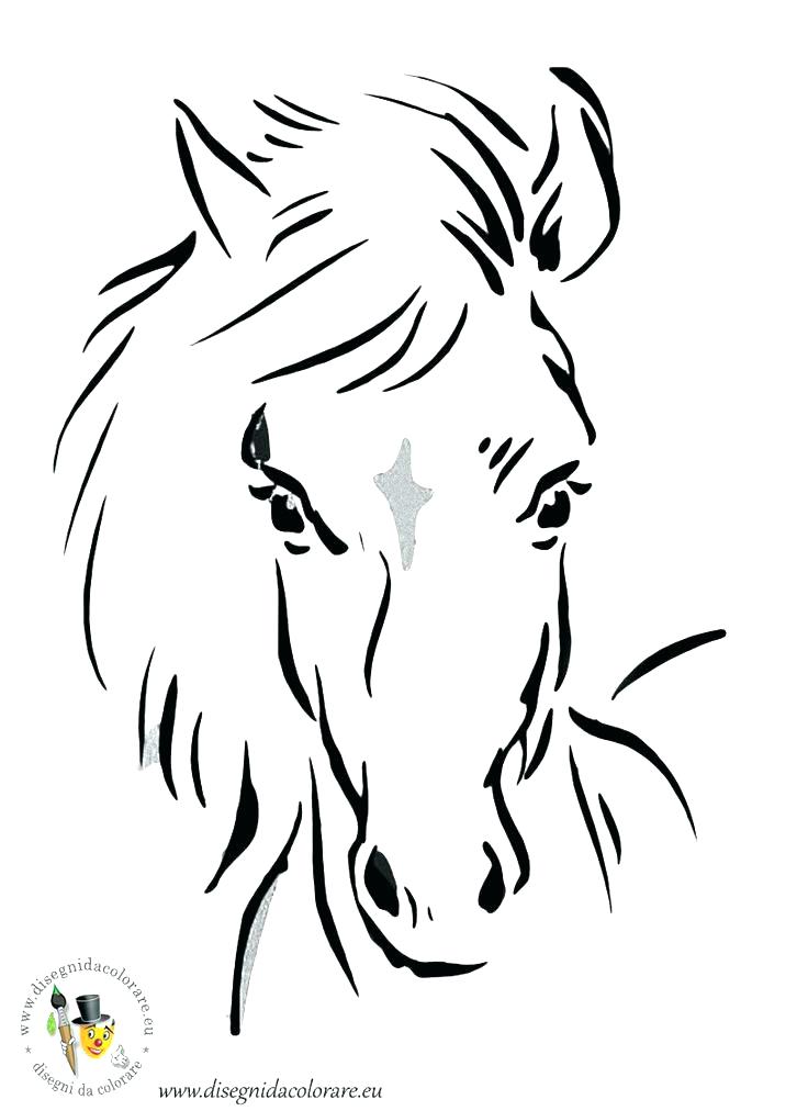 736x1012 Horse Head Coloring Page Horse Head Coloring Page This Is Coloring
