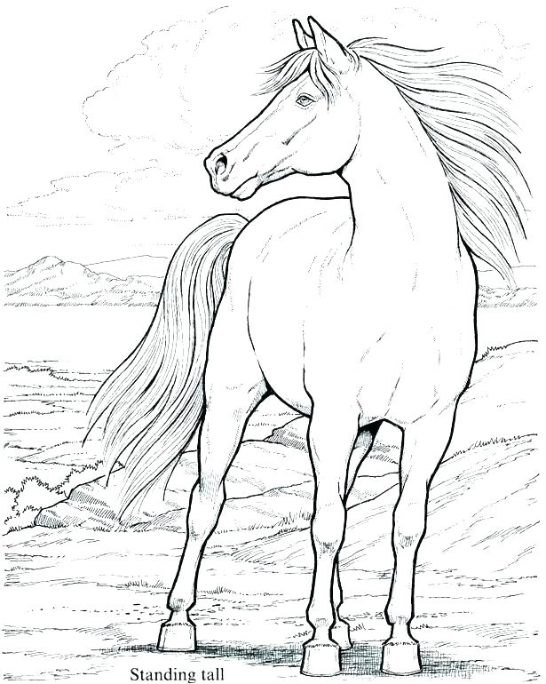 615x770 Horse Head Coloring Pages Printable Of Horses To Print For My