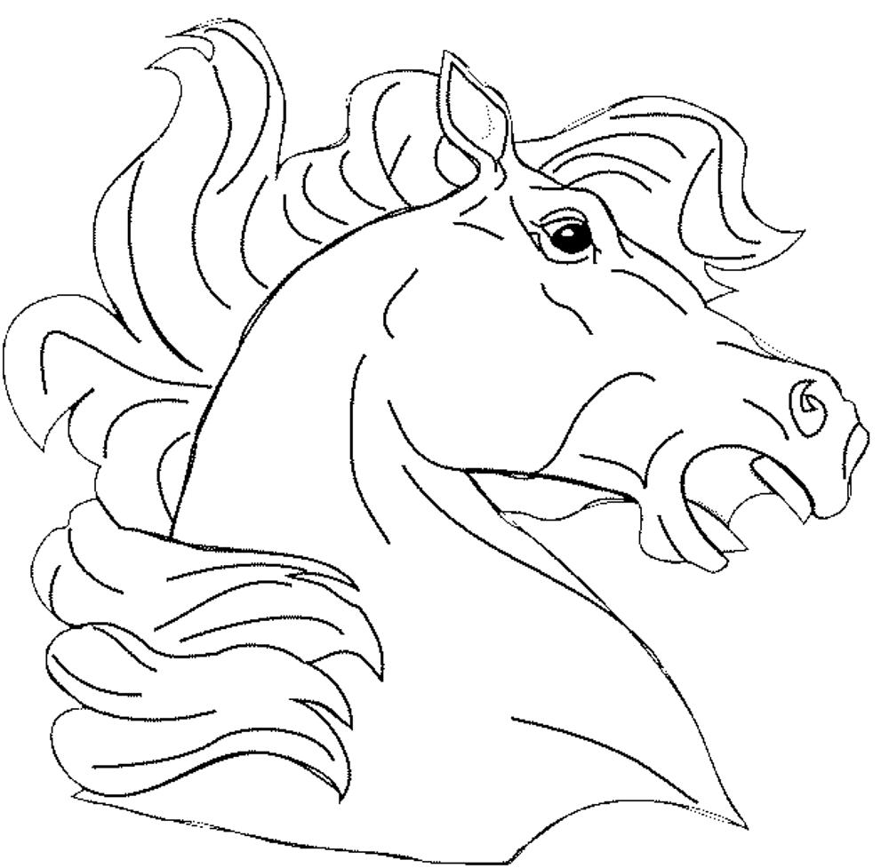 1000x977 Horse Head Coloring Pages To Print At Face Page Throughout