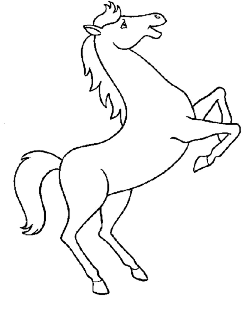 790x1015 Horse Head Coloring Pages To Print Google Search Color