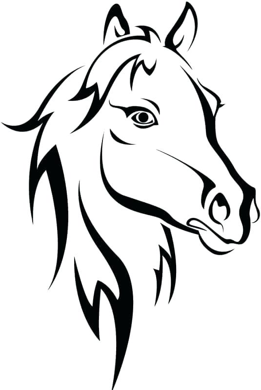 535x800 Horse Head Coloring Pages To Print Medium Size Of Of Horses
