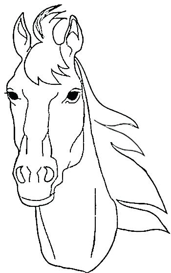 350x557 Horse Head Profile Coloring Page Horse Head Coloring Pages