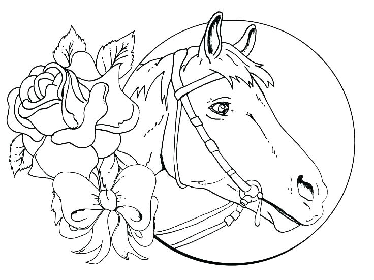 736x551 Horse Head Coloring Horse Head Coloring Pictures To Print