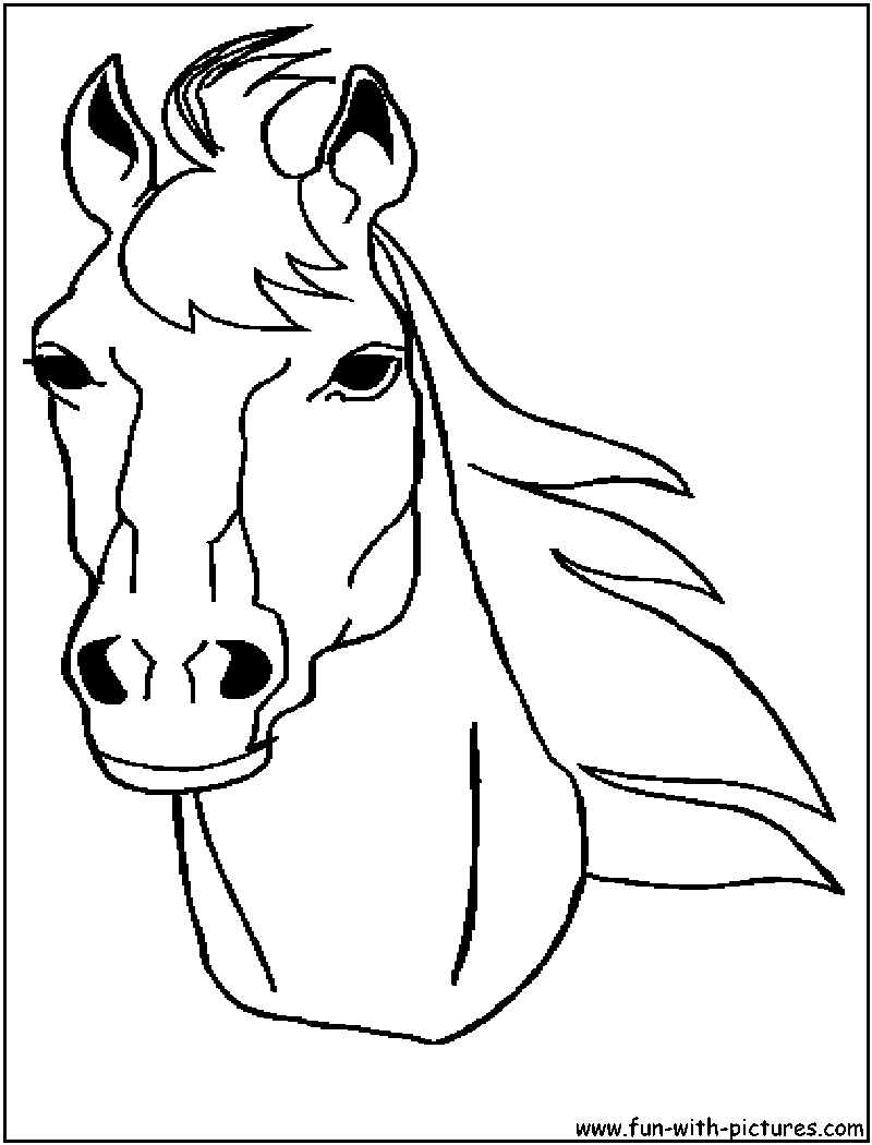 800x1050 Horse Head Coloring Page
