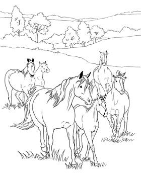 280x350 Coloring Sheets, Word Activities And More On Breyer's Website