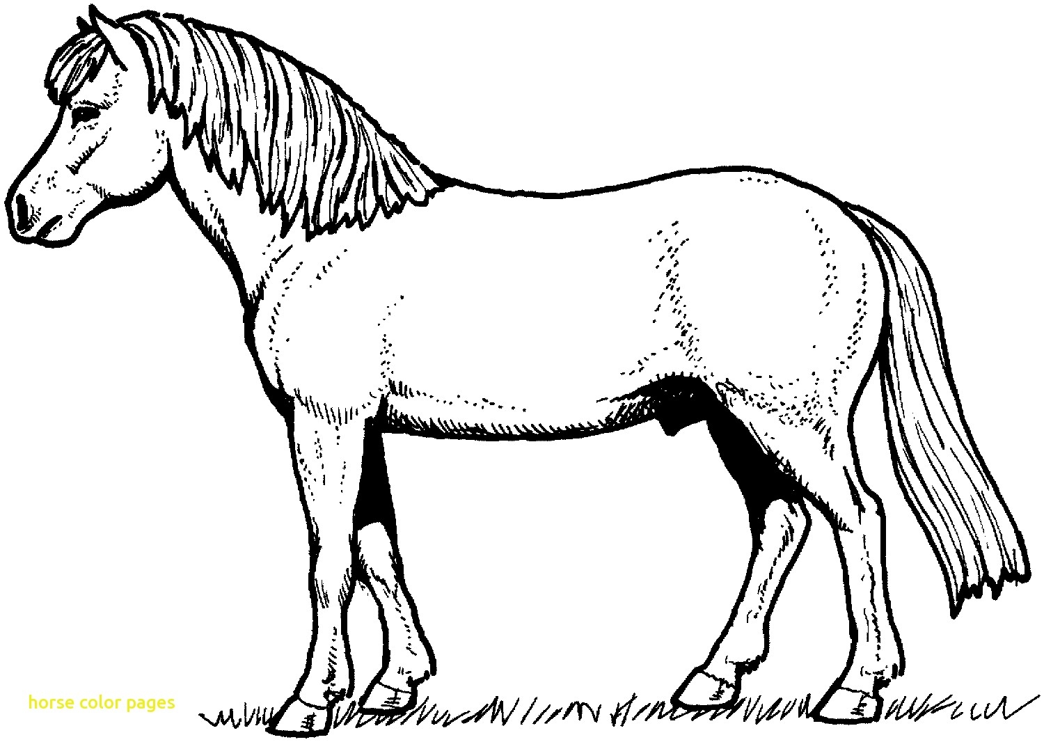 Exciting Western Horse Coloring Pages Best Of Horses With Sheets 1500x1066 Exciting Western Horse Coloring Pages Best Of Horses With Sheets