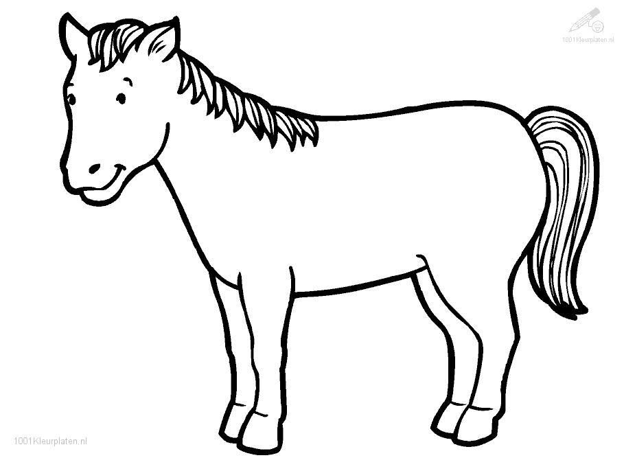 Horse Coloring Pages Sheets And Pictures In Page Inspirations 13 909x670 Horse Coloring Pages Sheets And Pictures In Page Inspirations 13