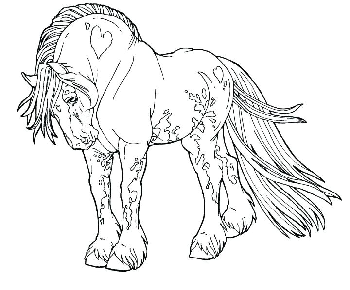 Horse Colouring Pictures Coloring Pages Horse Coloring Pages 720x598 Horse Colouring Pictures Coloring Pages Horse Coloring Pages