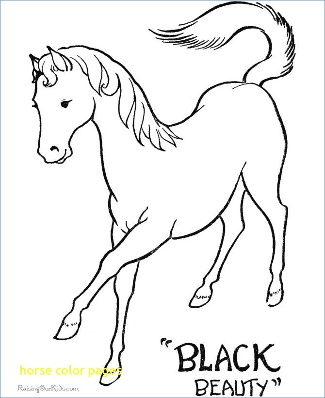 Race Horse Coloring Page For Prescool 670x820 Race Horse Coloring Page For Prescool