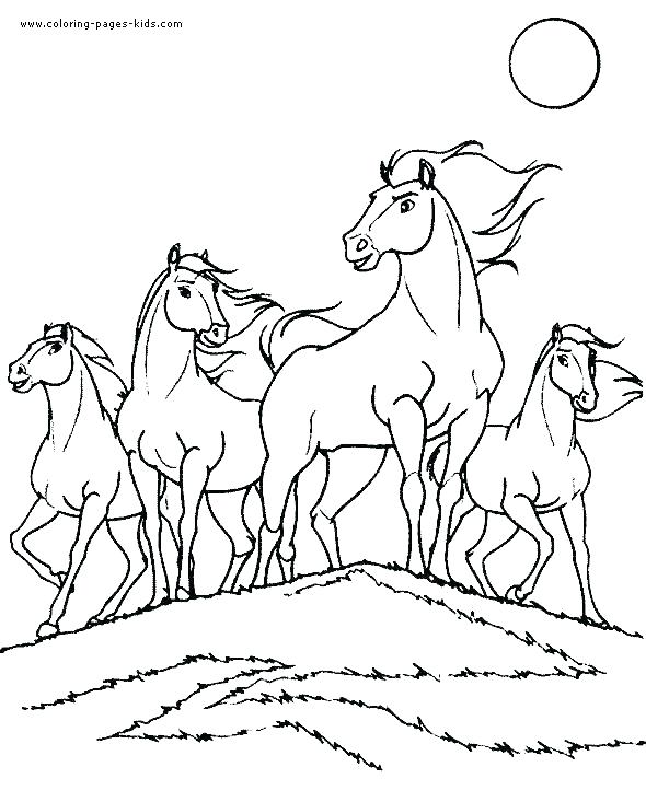 Coloring Page Of Horse 590x733 Coloring Page Of Horse
