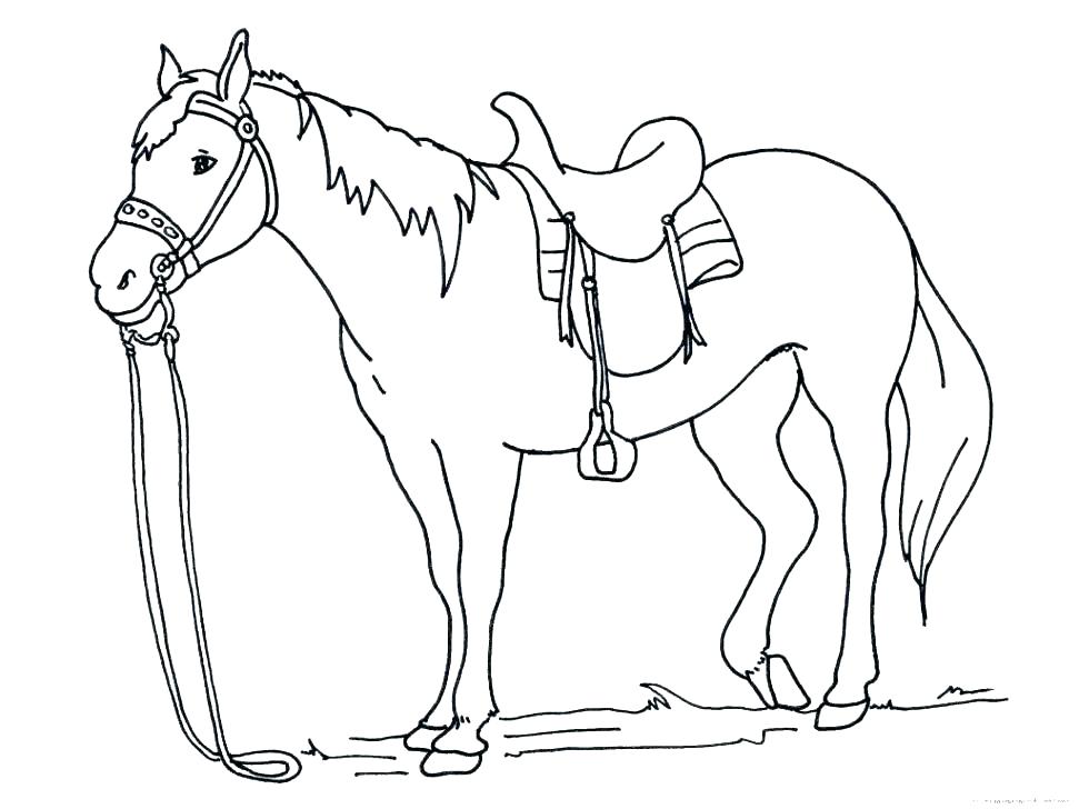 Running Horse Coloring Pages 971x728 Running Horse Coloring Pages