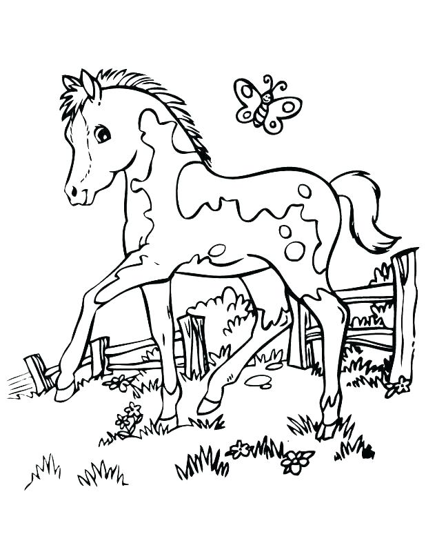 Arabian Horse Coloring Pages Horse Coloring Pages Printable Also 618x800 Arabian Horse Coloring Pages Horse Coloring Pages Printable Also