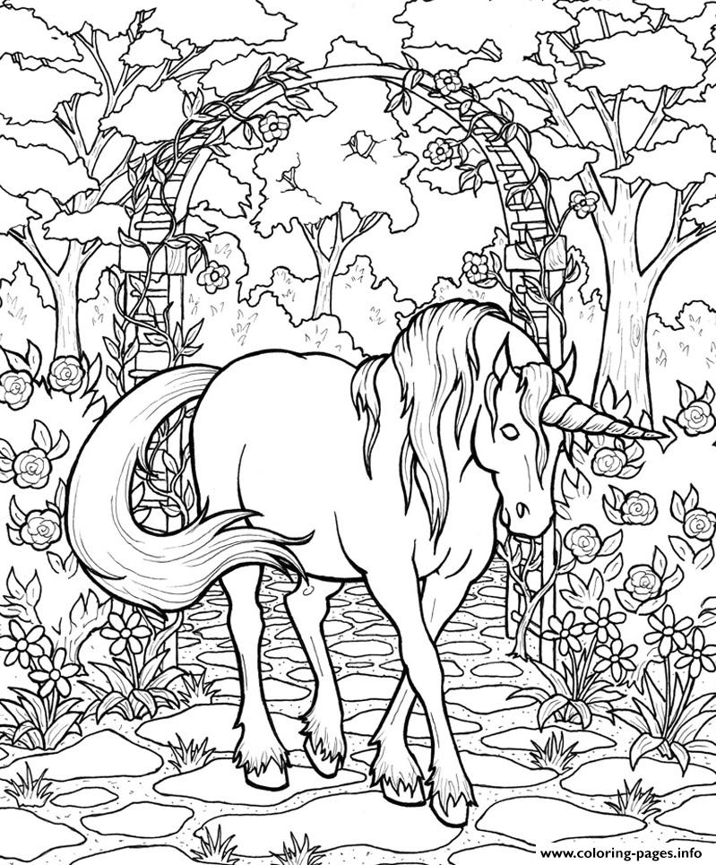 799x965 Mythical Horse Sb0e5 Coloring Pages Printable