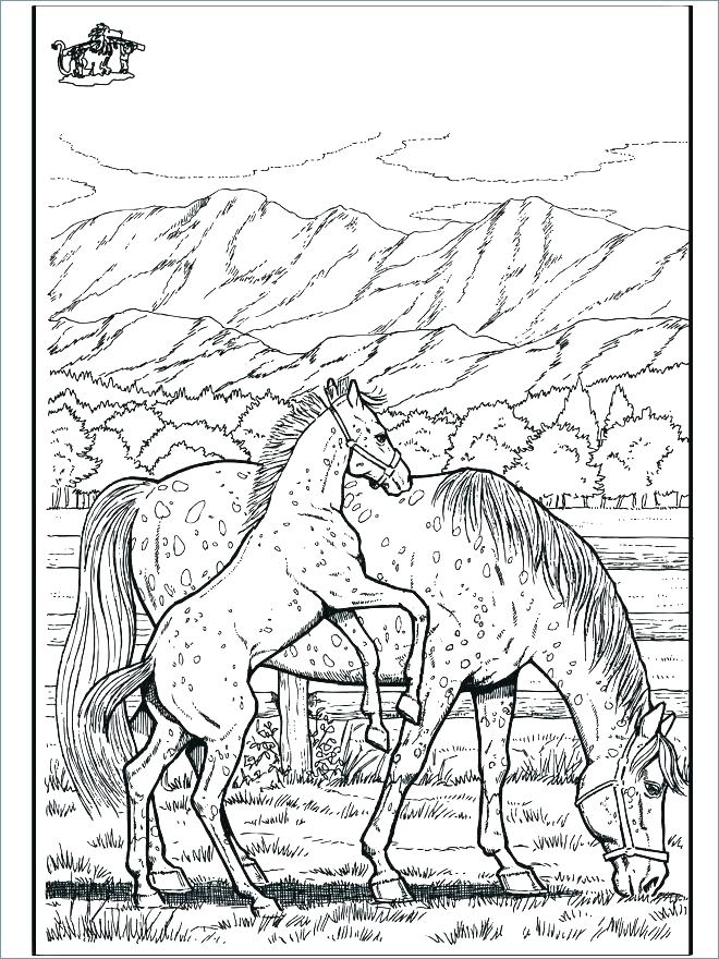 660x880 Jockey Silks Coloring Pages