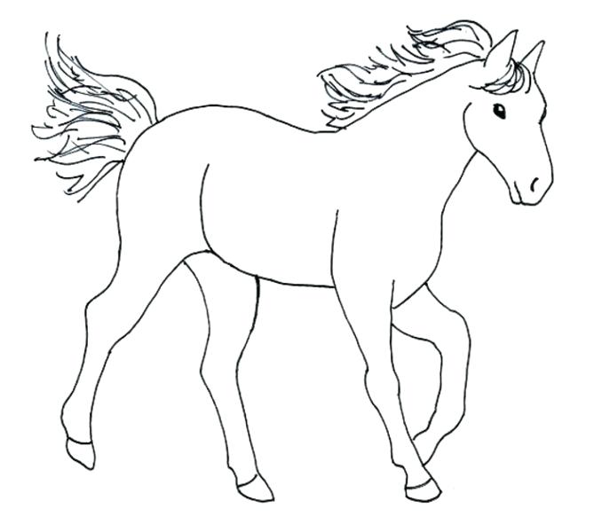 678x600 Coloring Pages Horse Printable Horse And Jockey Pictures Subiekt