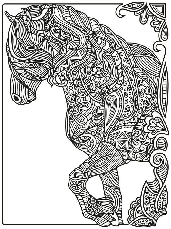 564x756 Horse Zentangle Colorish Coloring Book App For Adults Mandala