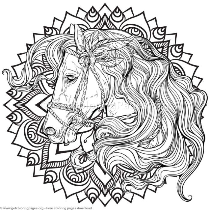 700x700 5 Horse Mandala Coloring Pages