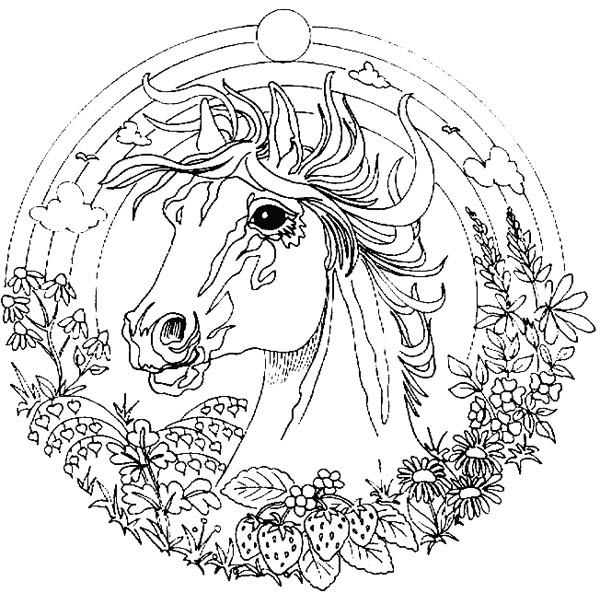 600x593 Animal Mandala Coloring Pages Amazing Animal Horse Mandala