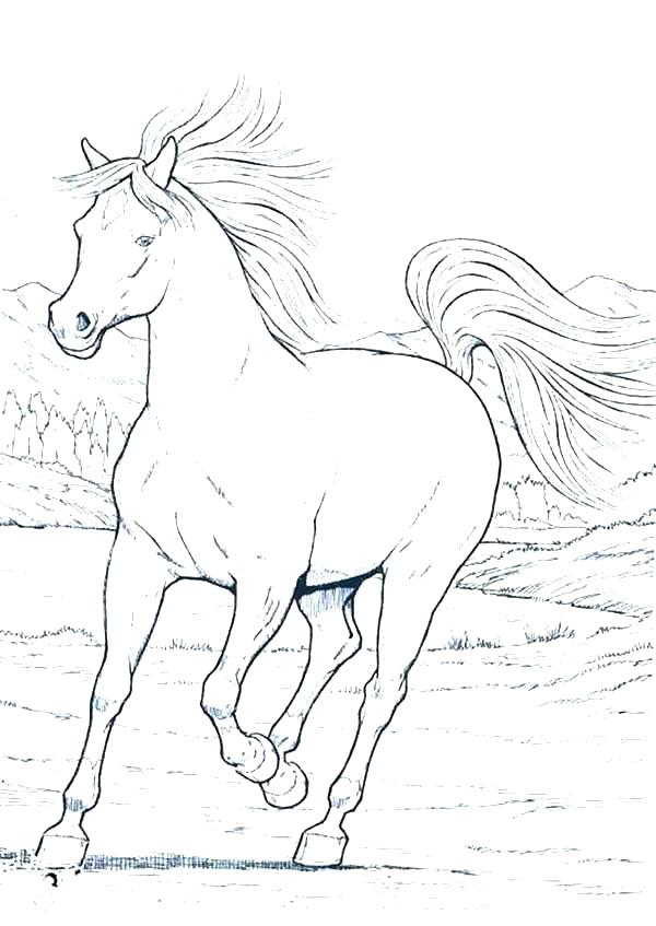 600x847 Horse Colouring Pages Horse Colouring Pages Horse Color Page