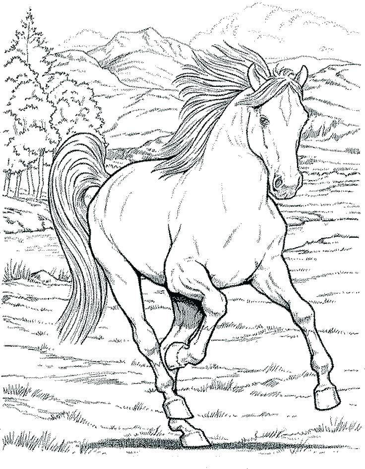 736x945 Coloring Pages Disney Pdf Horse Racing Free Horses For Barre