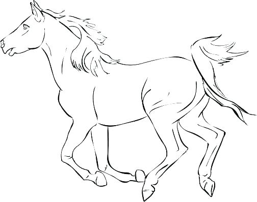 Horse Riding Coloring Pages at GetColorings.com | Free printable ...