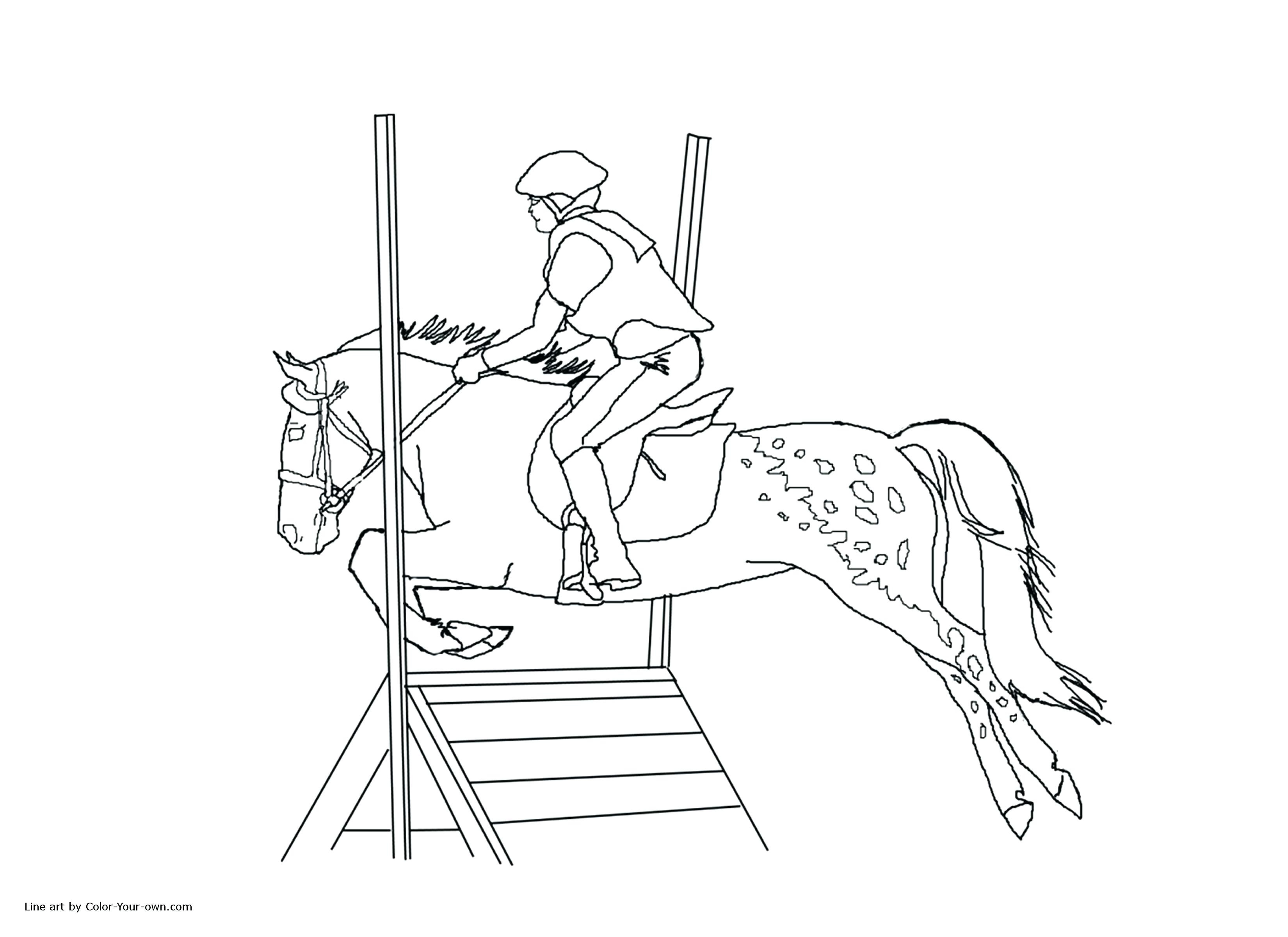Fresh Coloring Horse Racing Coloring Pages 3300x2400 Fresh Coloring Horse Racing Coloring Pages