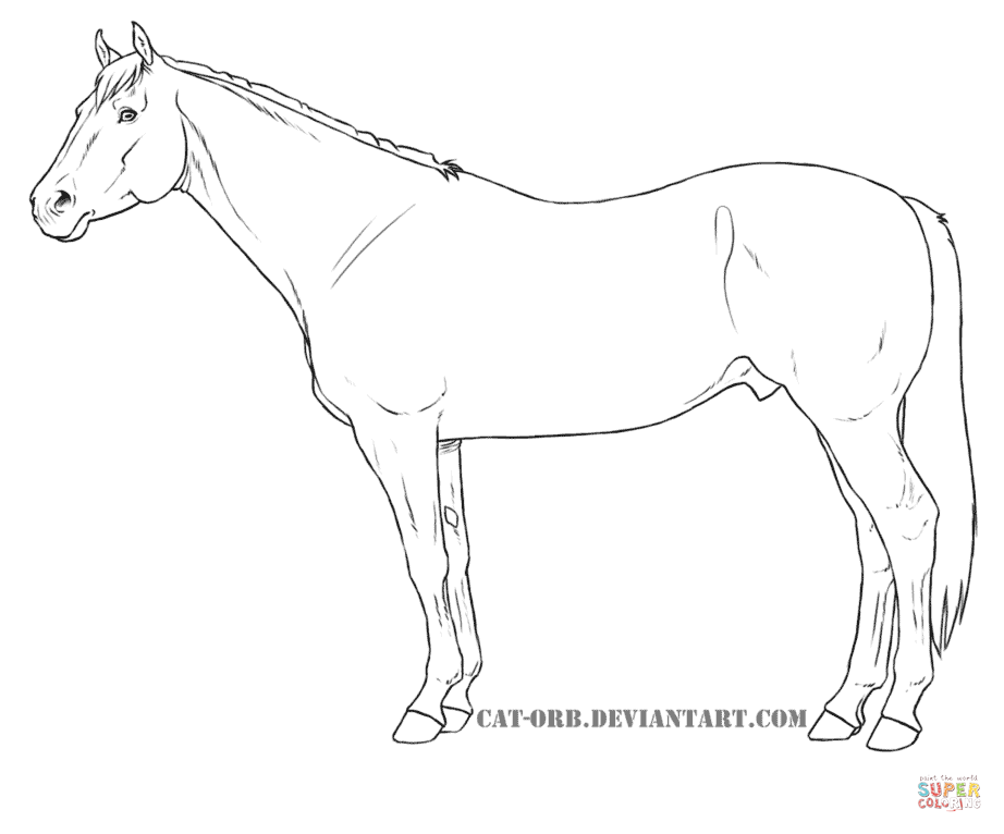 Quarter Horse For Coloring Page 922x766 Quarter Horse For Coloring Page