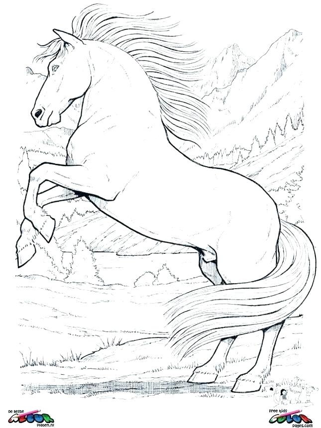 Realistic Horse Coloring Pages Horses Coloring Page Mustang Horse 645x860 Realistic Horse Coloring Pages Horses Coloring Page Mustang Horse