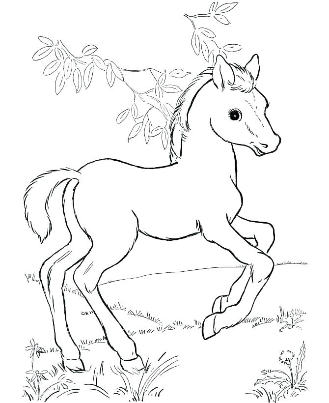 Horse Running Coloring Pages at GetColorings.com | Free printable