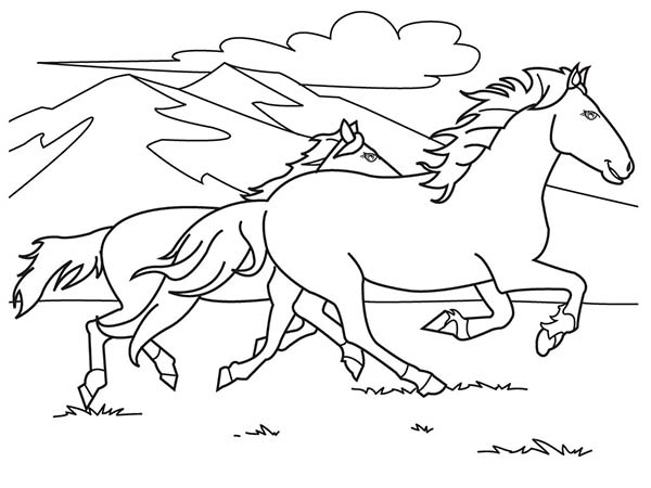 Two Horses Running On The Hill Coloring Page 600x450 Two Horses Running On The Hill Coloring Page