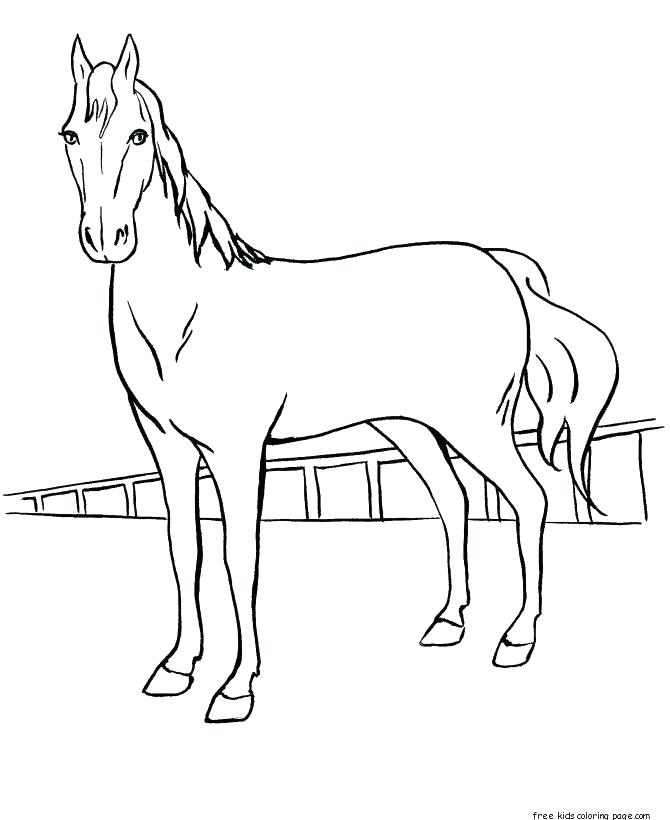 Realistic Horse Coloring Pages To Print 670x820 Realistic Horse Coloring Pages To Print