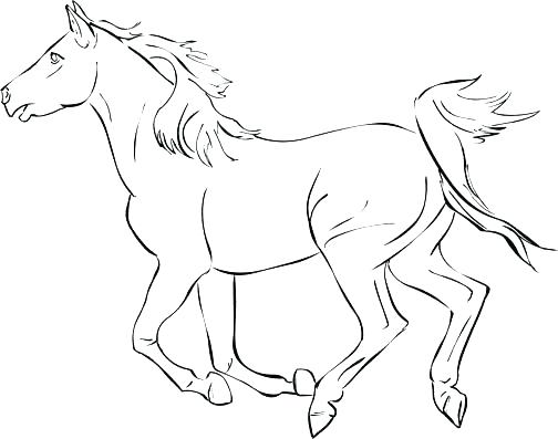 Coloring Pages For Horses Color Pages Of Horses Coloring Pages 504x397 Coloring Pages For Horses Color Pages Of Horses Coloring Pages