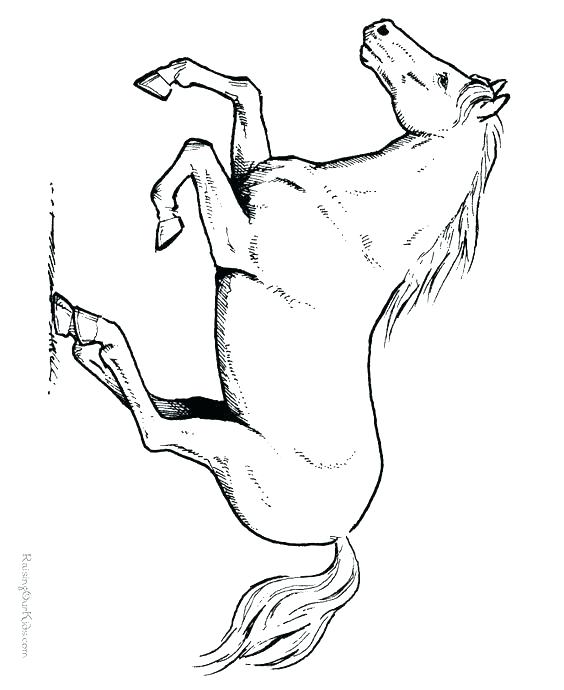 Horse Running Coloring Pages at GetColorings.com | Free printable