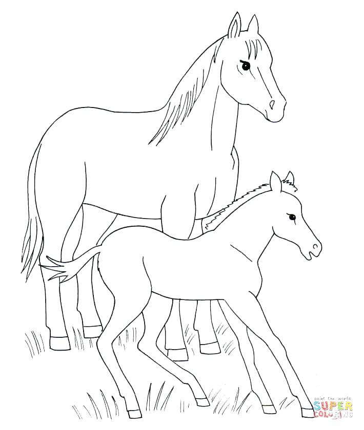 Horse Color Page Horse Head Coloring Pages Running Coloring Pages 710x840 Horse Color Page Horse Head Coloring Pages Running Coloring Pages