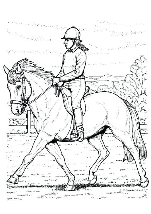 Horse Riding Coloring Sheets Printable Coloring Coloring Page 531x750 Horse Riding Coloring Sheets Printable Coloring Coloring Page