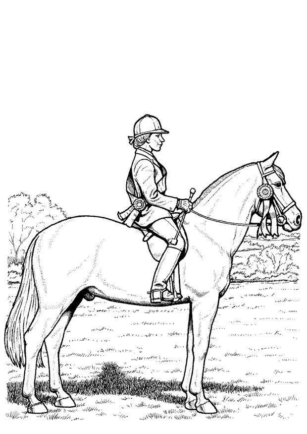 Coloringcontest2.jpg Color Horses Competition 620x875 Coloringcontest2.jpg Color Horses Competition